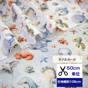 50cmP _uK[[ uDqS C̒Ԃv Rbg100 n C̐ C CJ NW ^R Jj GC NQ }XN  nhCh fW^vg baby kids q 