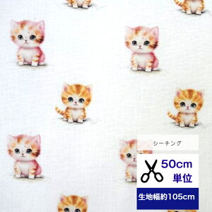 u50cmPʁztsukushiuV[`Ov ujRvRbg100 n z  obO  L fW^vg Jo[O  cat Lbg bXobO V[c s[X 