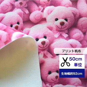 8vgzy50cmPʁzuӂӂsNxA̖v Rbg100 n z ܕ xA[ bear N} F sN  nhCh  z@ a̔ g[gobO z΂ TR
