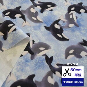 u50cmPʁztsukushiuIbNXv uC̉҃V`v Rbg100 n z  obO  V` C̐ Cm CJ C jq fW^vg bXobO n[tpc X