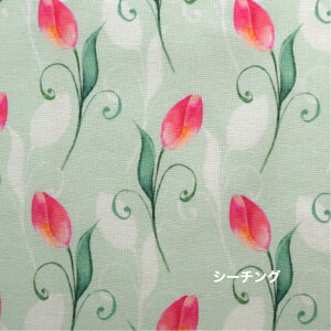 y50cmPʁzuV[`OvufW^vgvgraceful tulip Dȃ`[bv Rbg100 n z  /GKg