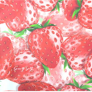 y50cmPʁztsukushiuV[`OvuAXgx[vC`S Rbg100 n    Jo[O Gv w fW^vg q