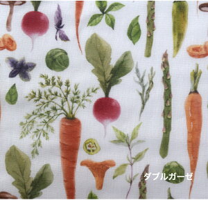 y50cmPʁztsukushiu_uK[[vuxW^uv Rbg100 n z  }XN pW} fW^vg xr[pi  AXp