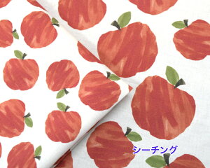 y50cmPʁzyV[`Ozu񂲂̗v Rbg100  z w }XN   xr[pi n fW^vg Vv S Abv 菑 k Gv/t