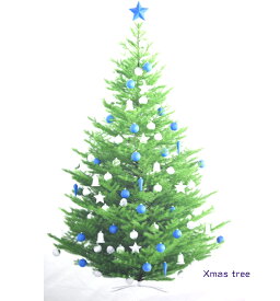 tsukushi　パネル販売「Vol.2 クリスマスツリー シルバー＆ブルー」シンプルで都会的なデザイン オーナメント 生地 布 綿 コットン100％ デジタルプリント クリスマスツリー もみの木 飾り 壁飾り タペストリー