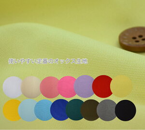 y50cmPʁzug₷ԃIbNX15Fv n Rbg100 n z  }XN w xr[ z ؑ  v[ J[IbNX