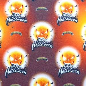 y50cmPʁzRR̃nEB[n􂨟ȃNXŊyuChpvLv/ڂ/nEB//RE/ Rbg100/n ////Jo[O/Gv/