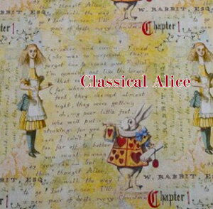 y50cmPʁzyV[`OzuClassical Alicevun[g̃ETMƃAXv Rbg100/ NVJ AX /z /w/  //Jo[O/  AXn svc̍ gv