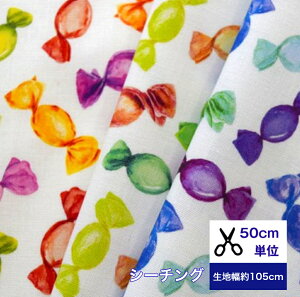 y50cmPʁz Y V[`OuJtLfB[vݎ̂悤ȉvg Rbg100 //z/w/}XN///fW^vg/   LfB[ XC[