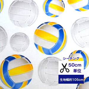 y50cmPʁzyV[`Ozulet's sports -volleyball-vo[{[ Rbg100  z w   Jo[O {[ Vv fW^ bc X|[c