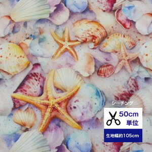 y50cmPʁzyV[`Ozuparadise shellv ẙLkRbg100  z w   Jo[O n Lk qgf  C l fW^vg p_CXVF