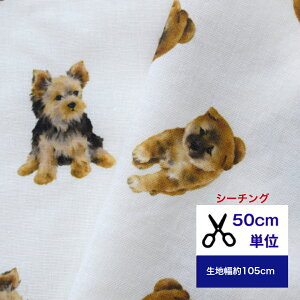 y50cmPʁzyV[`Ozu߂Ȃقǉebaby dog Vol.3 Rbg100 n z  fW^vg xr[ nhCh n   Č [NVeA Ck 