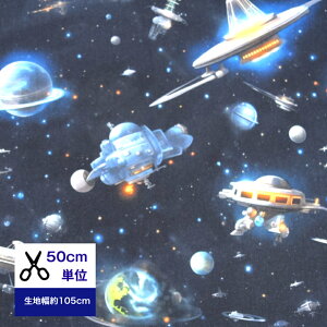 y50cmPʁzyIbNXzy͂̔ޕɂ߂z Rbg100 n z w F f  nhCh  jq