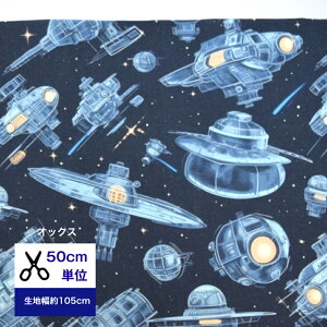 y50cmPʁzyIbNXzyFXe[Vz Rbg100 n z w F f  nhCh  lT@  jq