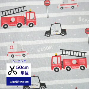 y50cmPʁzuV[`Ovy{[_[XL[z Rbg100 n z }XN w  nhCh h  pgJ[ ~} jq ͂炭 