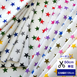 y50cmPʁzV[`O g₷TCÝu3DX^[Yv Rbg100 n z w }XN     X^[