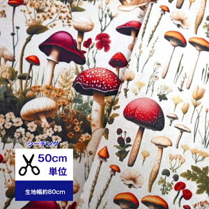 y50cmPʁzyV[`OzuAeB[N }bV[vV[`O/LmR Rbg100 /n/ ///Jo[O/Gv/w/fW^vg/ԕ/ nhCh 