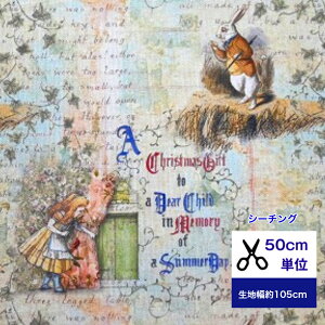 y50cmPʁzyV[`OzuClassical Alicevusvc̍ւ̓v Rbg100/ /z /w/  //Jo[O/  AXn svc̍ gv