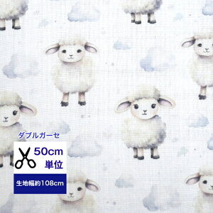 y50cmPʁz _uK[[ RRЂ Rbg100 n z }XN w  nhCh Aj}  qcW r 