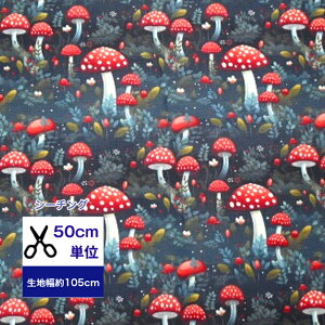 uV[`Ov50cmPʁy[Cg}bV[z Rbg100 n z }XN w  nhCh k X  ̂ LmR X