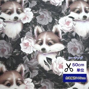 50cmP V[`O gribanessa world husky puppy Rbg100 n z }XN  nhCh fW^vg   nXL[ e