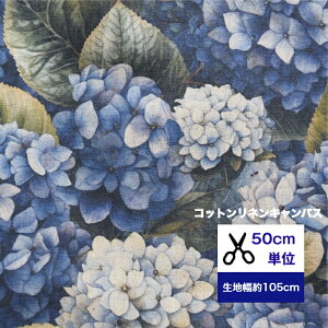 50cmP RbglLoX Ĝ悤Ȏz Rbg100 l20 Ȗ z   Be[W AWTC ԕ CeAt@ubN Aix G