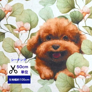 50cm単位 シーチング プードルとユーカリ コットン100% 生地 Gribaness world 布 マスク 手作り ハンドメイド デジタルプリント 犬 犬柄 仔犬 花柄