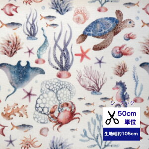 50cmP V[`O Vol.3 C̒̊y Rbg100 n }XN  nhCh fW^vg J ^R GC X z pXe  C