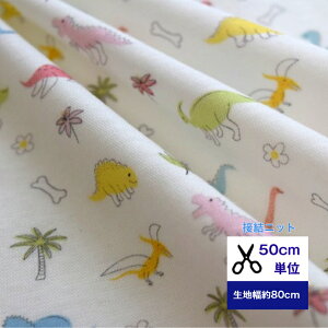 50cmP ӂ`_炩 ڌjbg ȋ jbg  z   fW^vg R xr[  p  K[[jbg _Ci\[ 