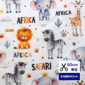 50cmP ӂ`_炩 ڌjbg Africa Animals jbg  z   fW^vg xr[  p  K[[jbg  AtJ Aj} ]E CI [u L 