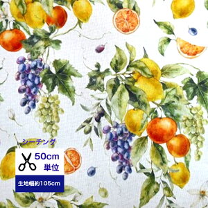 y50cmPʁzyV[`Oz artistic fruit painting |pIȃt[c Rbg100/ /z /w/  //Jo[O/ fW^vg ʐ^ ʕ t[c uhE  IW g