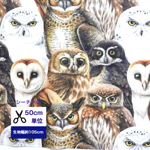 y50cmPʁzyV[`Oz tNE Rbg100/ /z /w/  //Jo[O/ fW^vg ʐ^ tNE sJ ͋  N g z  pW}