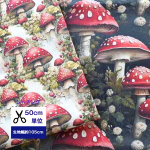 y50cmPʁzV[`O Vol.2AeB[N}bV[-Big-  pp\ Rbg100 //z/w/}XN///fW^vg  LmR ŃLmR