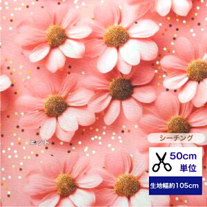 y50cmPʁzuV[`OvyFʗz Rbg100 n z }XN w sN    nhCh t[ ̎q ̎q s[X hX }[Kbg RXX