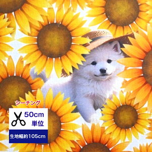 50cmP V[`O Ђ܂蔨łځXq̃XsbcЂ܂ Rbg100 n z }XN  nhCh fW^vg   e ԕ @Xsb