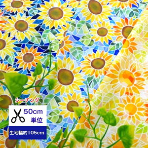 y50cmPʁzV[`O uЂ܂̃XehKXv Rbg100 /n////w/ fW^vg/a nhCh t[ ԕ Ђ܂  Ղ  r Xeh