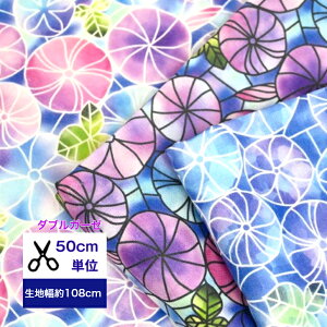 y50cmPʁz_uK[[o ũXehKXv Rbg100 /n////w/ fW^vg/a nhCh t[ ԕ   Ղ  r X
