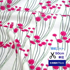 50cmP ӂ`_炩 ڌjbg AA n}JUV jbg  z   fW^vg R xr[  p  K[[jbg sN ԕ n