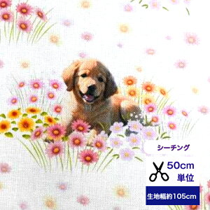 50cmP V[`O uԔłЂƂ₷݁S[fgo[v Rbg100 n  ԕ Ԕ t }XN  nhCh fW^vg S[fgo[