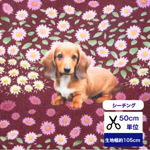 50cmP V[`O uGKgȂԂO~łЂƂ₷݁_bNXthv Rbg100 n  ԕ ԕ  }XN  nhCh fW^vg