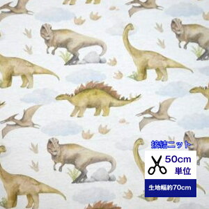 50cmP ӂ`_炩 ڌjbgo u ̑ՁHv   n    C  Jo[O xr[ w fW^vg nhCh eBmTE