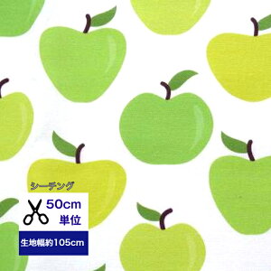 y50cmPʁzV[`O uu₩񂲁v Rbg100 /n////w/ fW^vg/a nhCh   ь apple