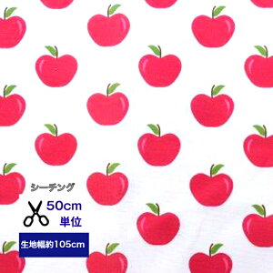 y50cmPʁzV[`O u񂲈̉^Hv Rbg100 /n////w/ fW^vg nhCh  S ь apple