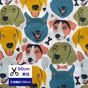 50cmP uttFCXv Rbg100/ /z /w/  //Jo[O/ fW^vg ʐ^  Ck nXL[