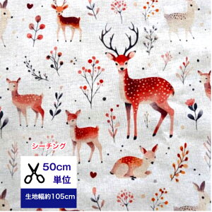 y50cmPʁz V[`O ̐eq Rbg100/ /z /w/  //Jo[O/ fW^vg ʐ^ VJ q X 쑐 ԕ