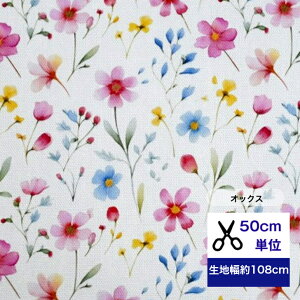 y50cmPʁzyIbNXzug{^jJ-Iris-vCXoRbg100 /n/ z/ / fW^vg/w/ ////ԕ  X~ |s[ 100