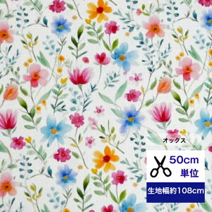 y50cmPʁzyIbNXzug{^jJ-emma-voRbg100 /n/ z/ / fW^vg/w/ ////ԕ  X~ |s[ 100