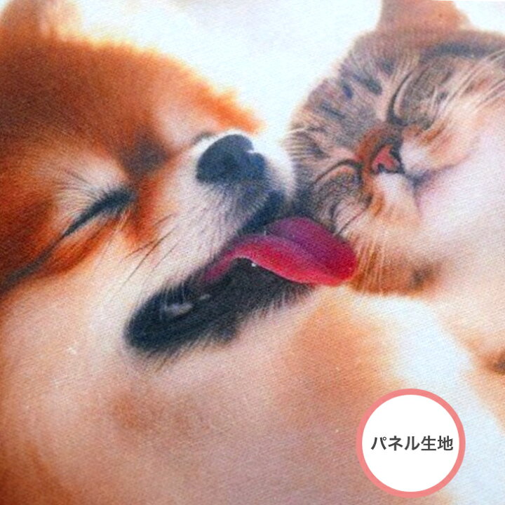 楽天市場】【パネル生地】「ポメとニャンコの日向ぼっこ」 シーチング 