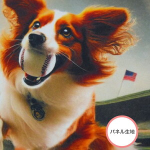 yplnzV[`OuW[[O̐lCҁv Rbg100 n t@ubN{[h ^yXg[  fW^vg   R[CPzfBG fBRC x[X{[ 