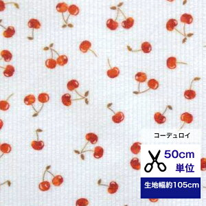 y50cmPʁzyR[fCzȗDȃg`F[v Rbg100 /n/ z/ / fW^vg/w/ ////ԕ  TN{  `F